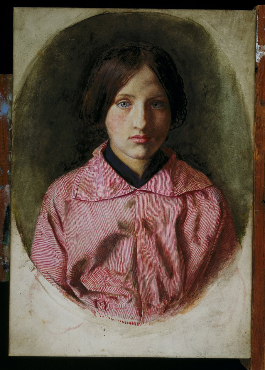 Wyżynna Lassie autorstwa John Everett Millais