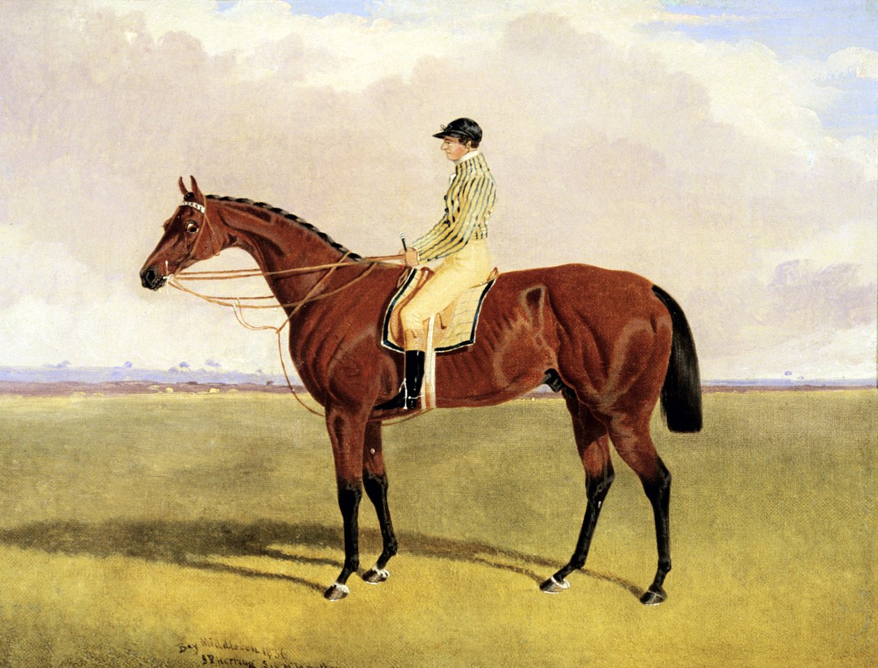 „Bay Middleton” z Robinsonem autorstwa John Frederick Herring Jnr