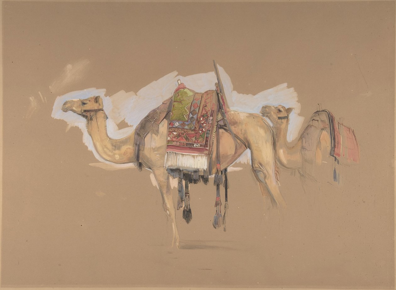 Dwa wielbłądy, ca. 1843. autorstwa John Frederick Lewis