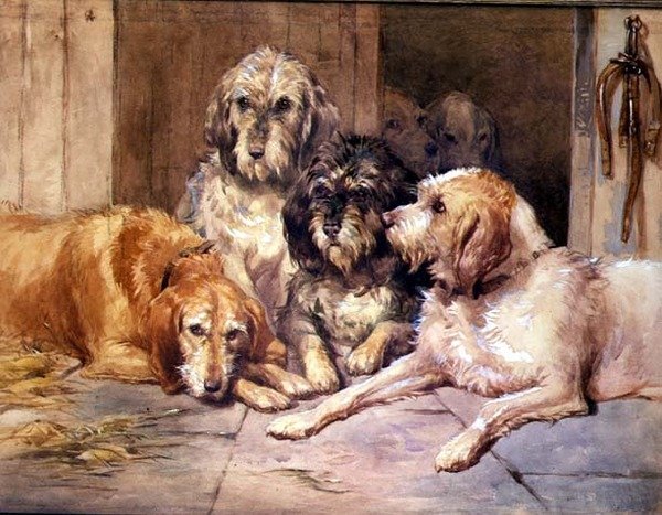 Psy gończe wydry autorstwa John Frederick Tayler