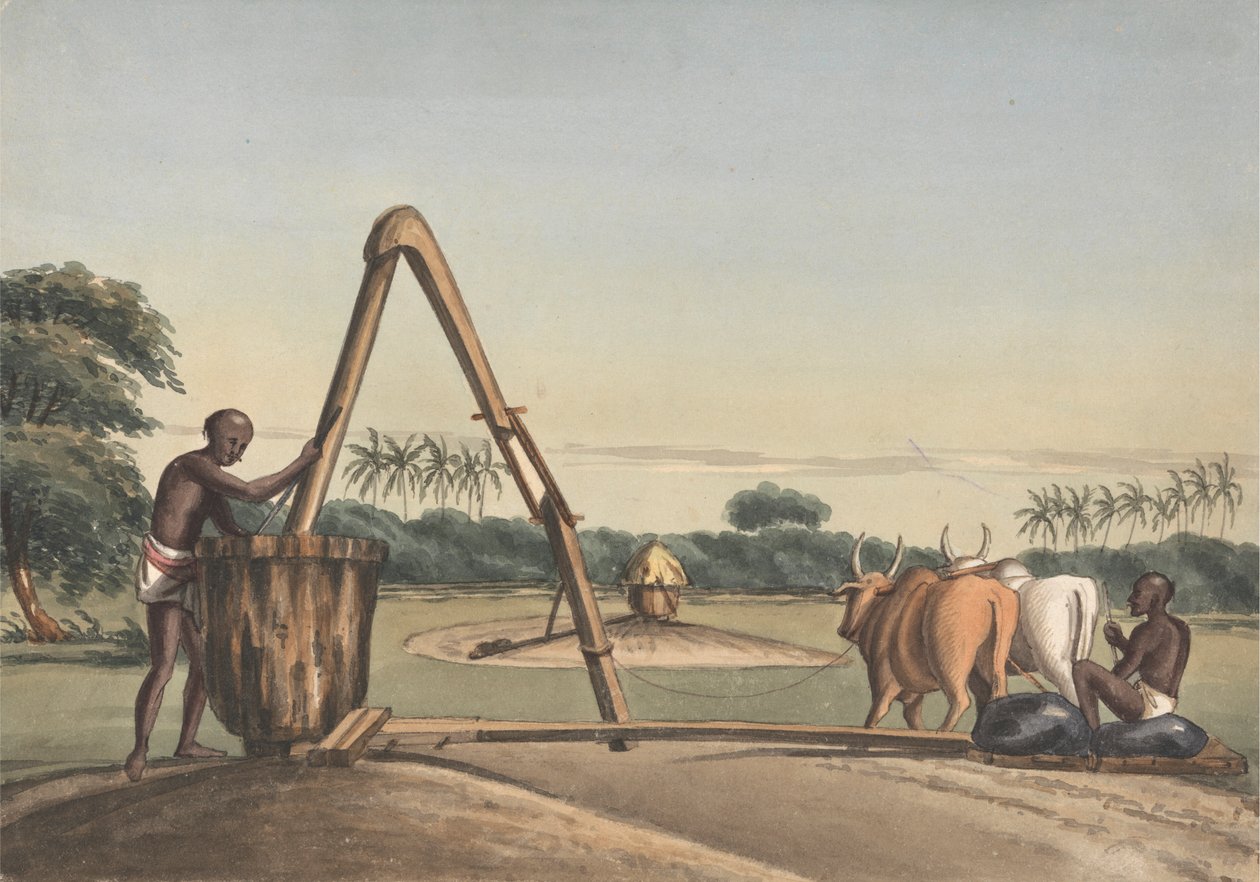 polish autorstwa John Gantz