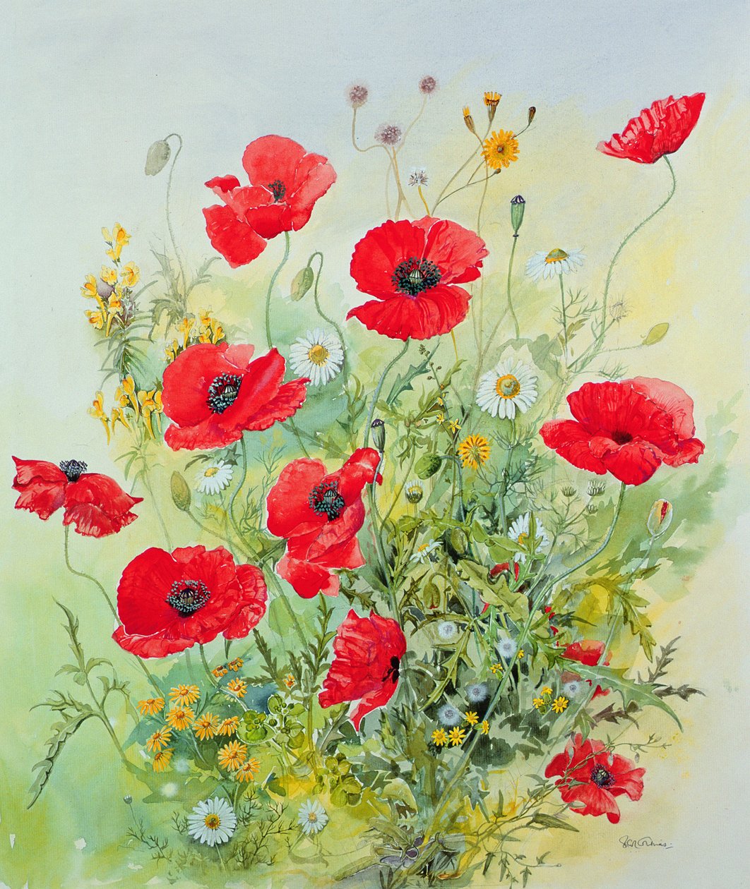 Maki i Mayweed autorstwa John Gubbins