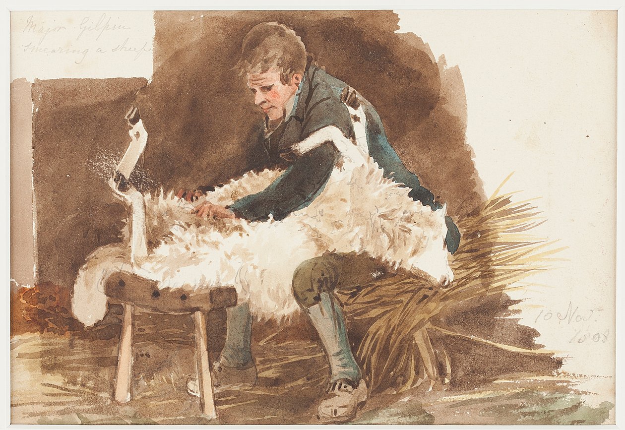 Strzyżenie owiec, 1808 (wc na papierze) autorstwa John Harden