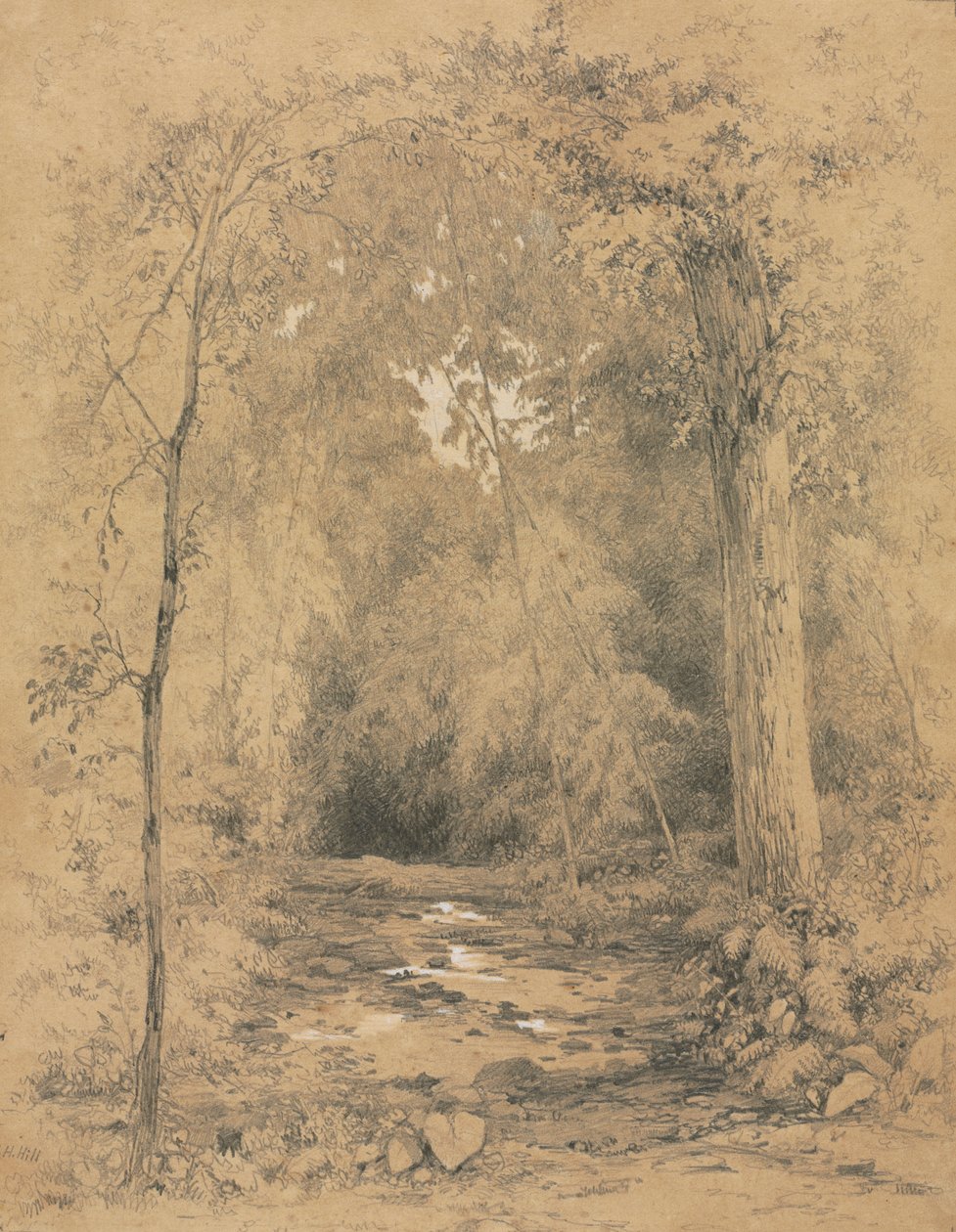 Wnętrze lasu, ok. 1900 r. 1870. autorstwa John Henry Hill