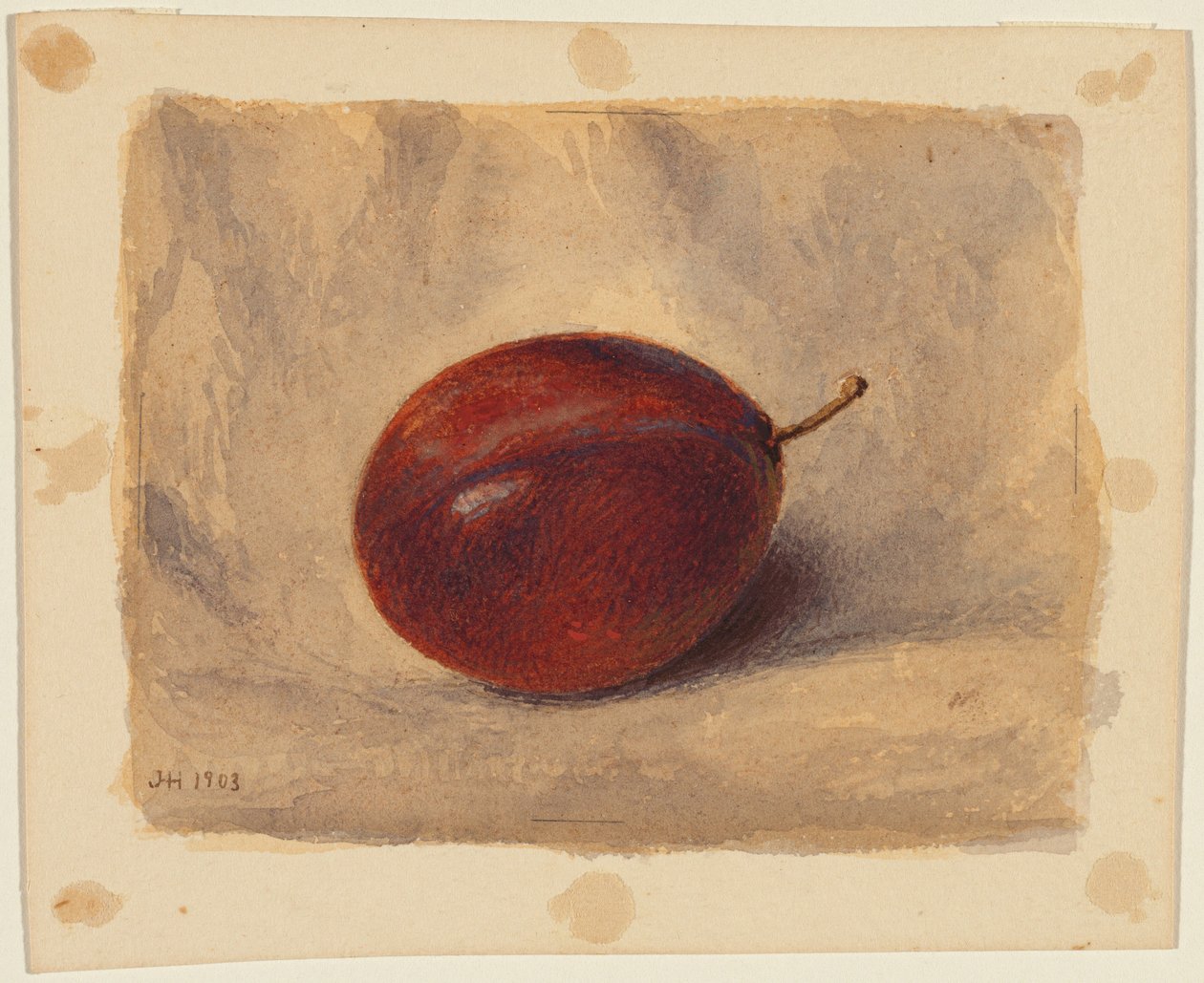 Śliwka autorstwa John Henry Hill