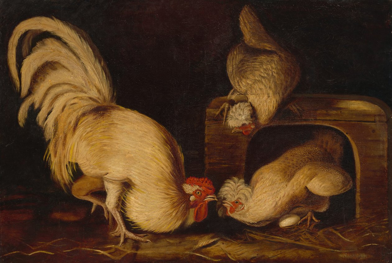 Ptactwo hodowlane, ok. 1827. autorstwa John James Audubon