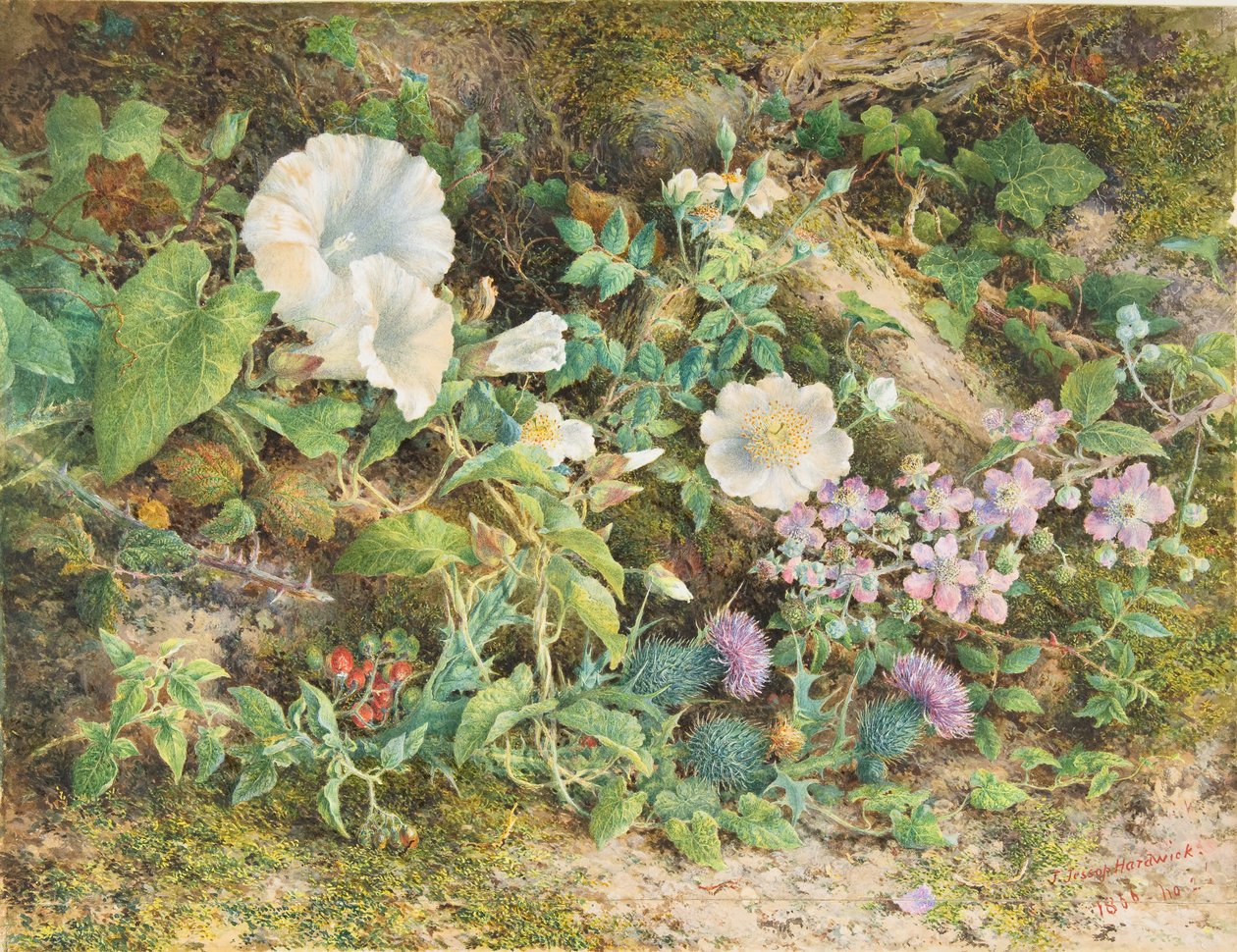 Studium kwiatowe, 1866. autorstwa John Jessop Hardwick