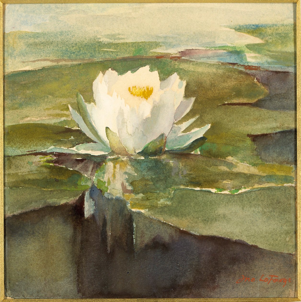 Lilia wodna w świetle słonecznym autorstwa John La Farge