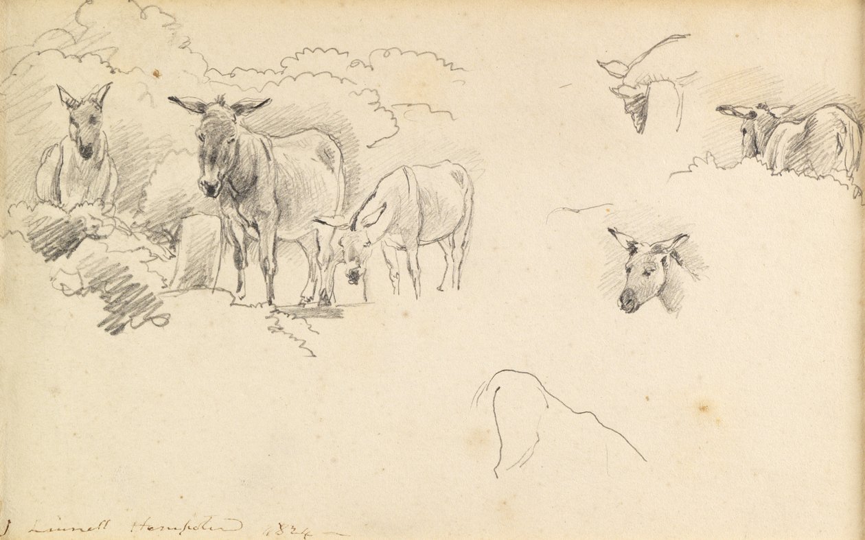 Osły, 1824 autorstwa John Linnell