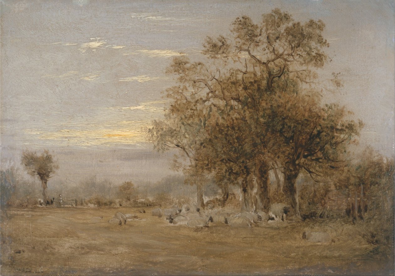 Wypas owiec autorstwa John Linnell