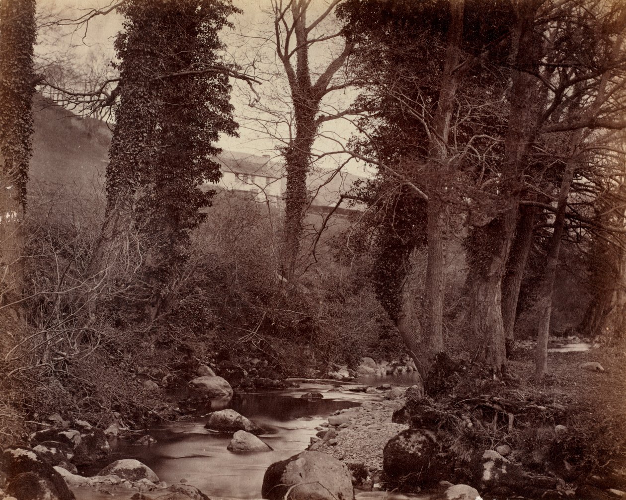 Bez tytułu, ok. 1859. autorstwa John Lloyd