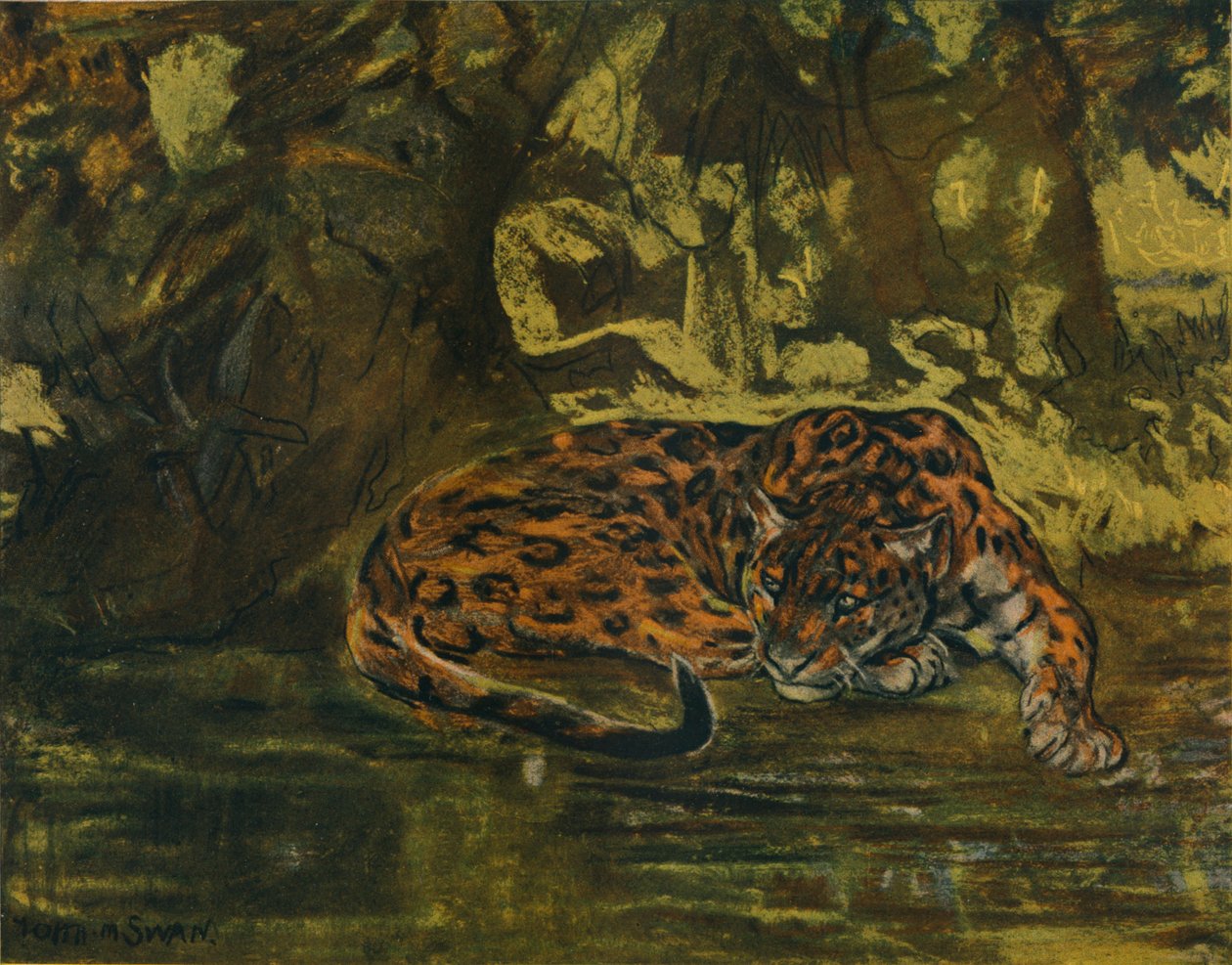 Jaguar, ok. 1900 autorstwa John Macallan Swan