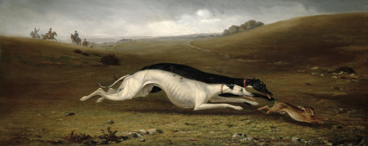 Zając na tle krajobrazu, 1870 autorstwa John Marshall