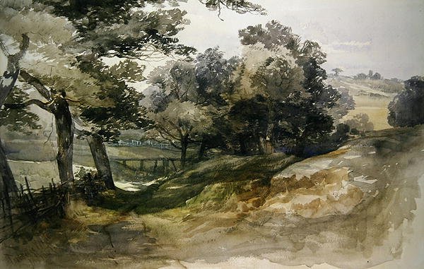 Shady Lane, Tunbridge Wells autorstwa John Middleton