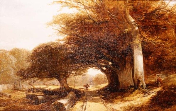 Leśna sceneria autorstwa John Middleton