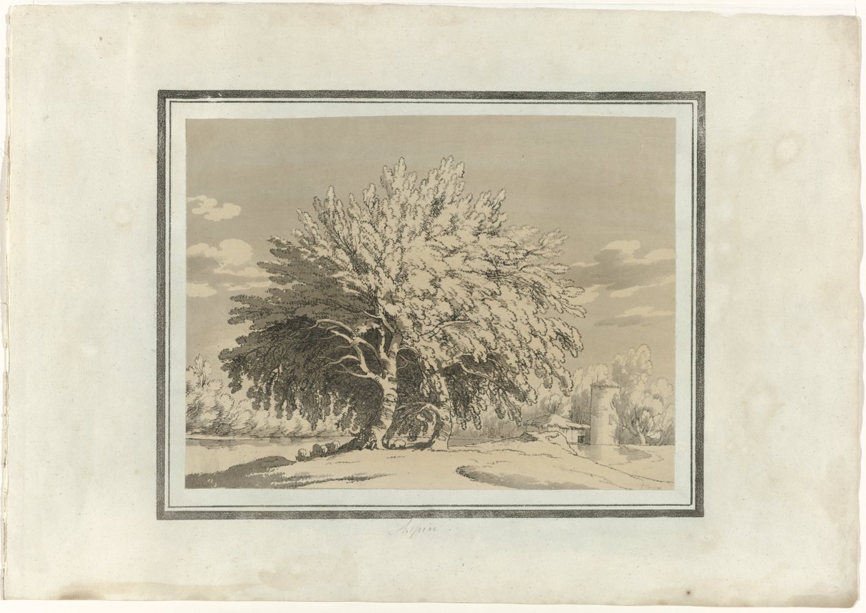 Osika autorstwa John Robert Cozens