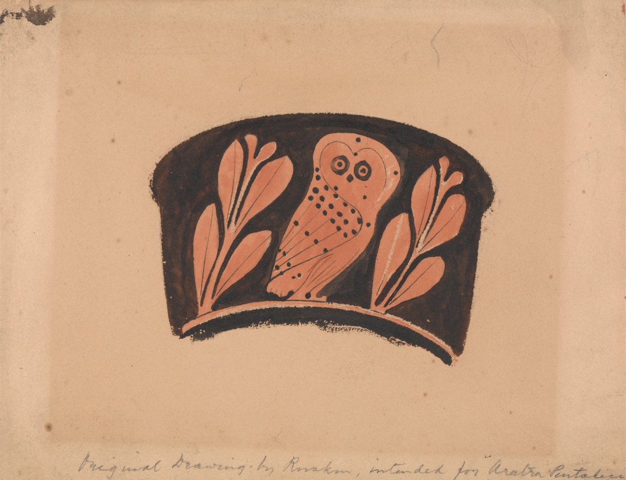 Sowa, Po strychu Kantharos autorstwa John Ruskin