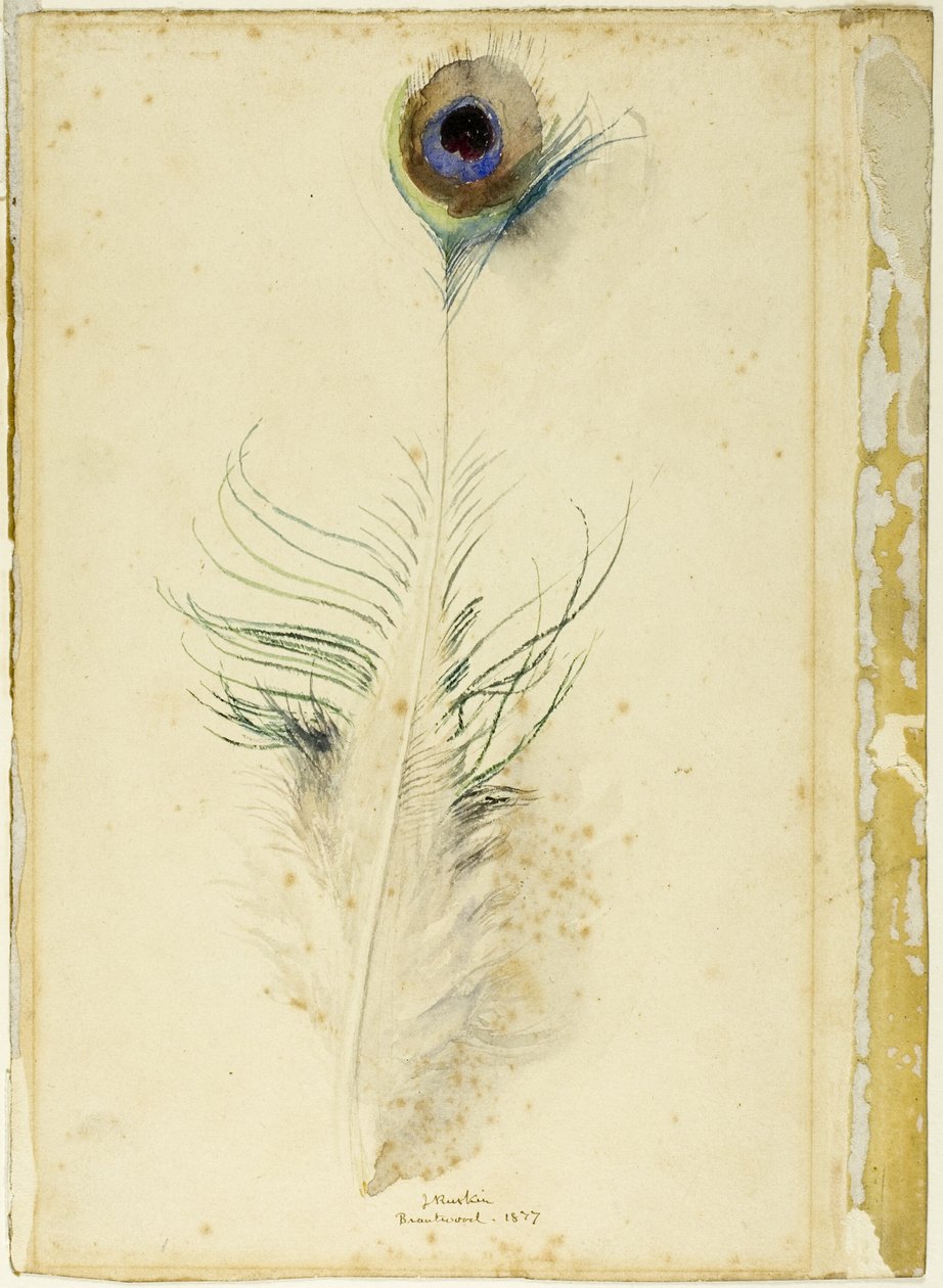 Pióro pawia autorstwa John Ruskin