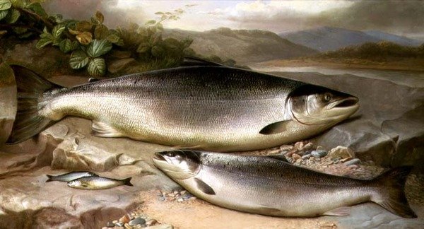 Ryba martwa natura autorstwa John Russell