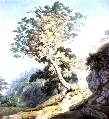 Zobacz w pobliżu Canonteign, Devon autorstwa John White Abbott