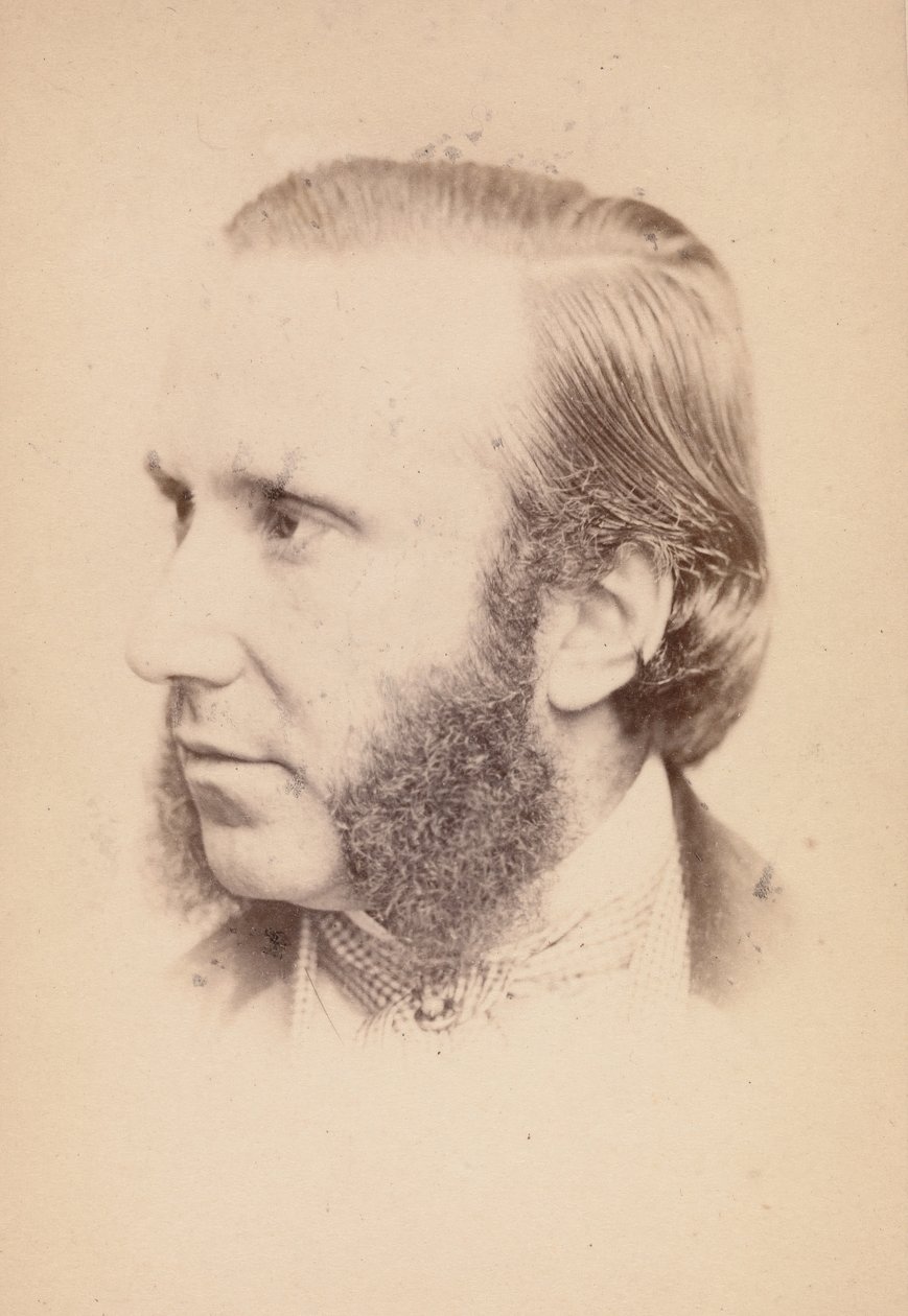 [Temat nieznany], lata 60. XIX wieku. autorstwa John and Charles Watkins
