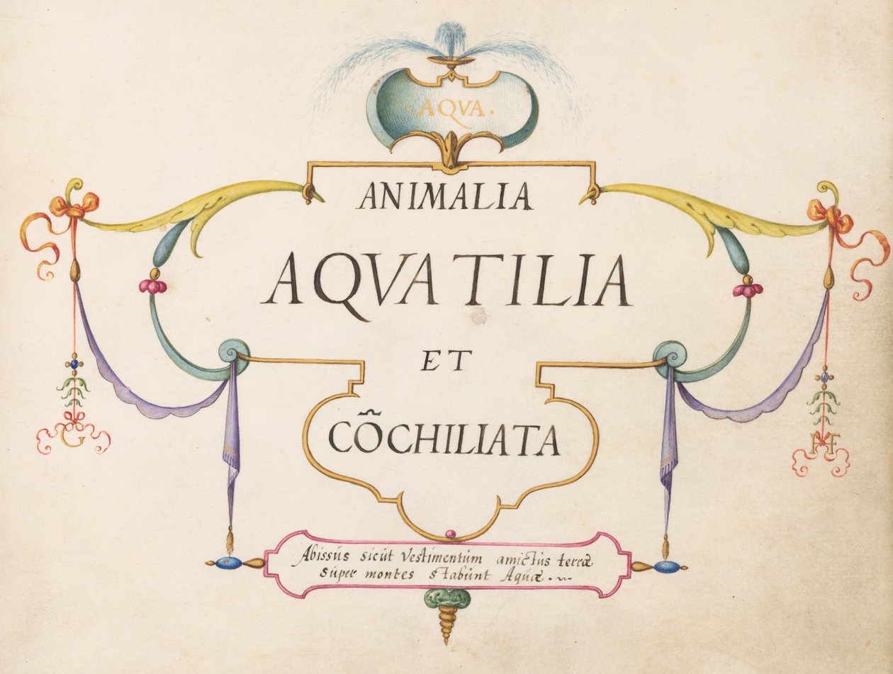 Strona tytułowa autorstwa Joris Hoefnagel