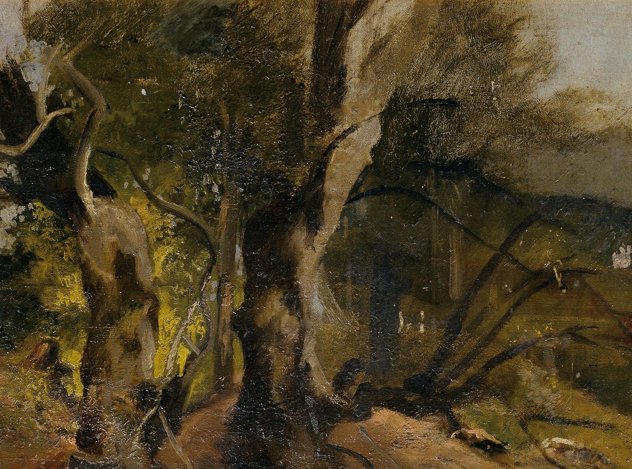Waldstudium autorstwa Josef Navrátil