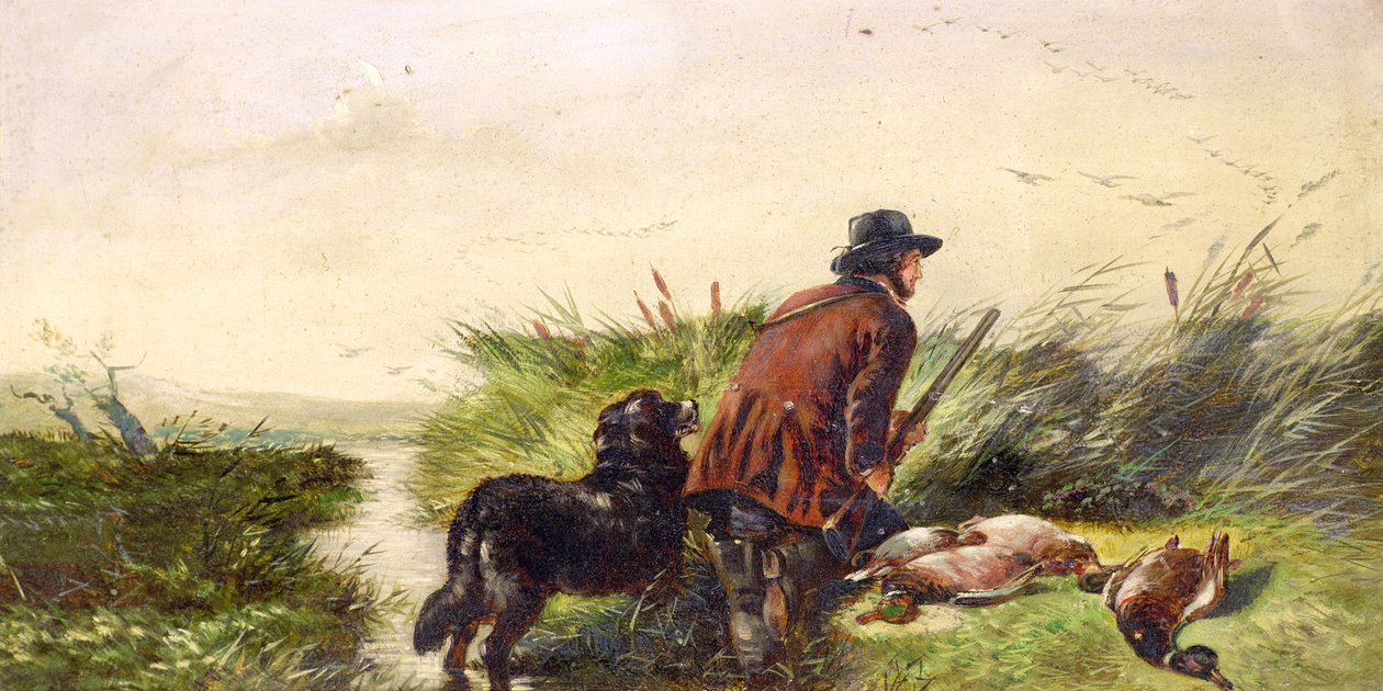 Lot kaczek na podstawie obrazu Richarda Ansdella (1815-85) autorstwa Joseph Bensted