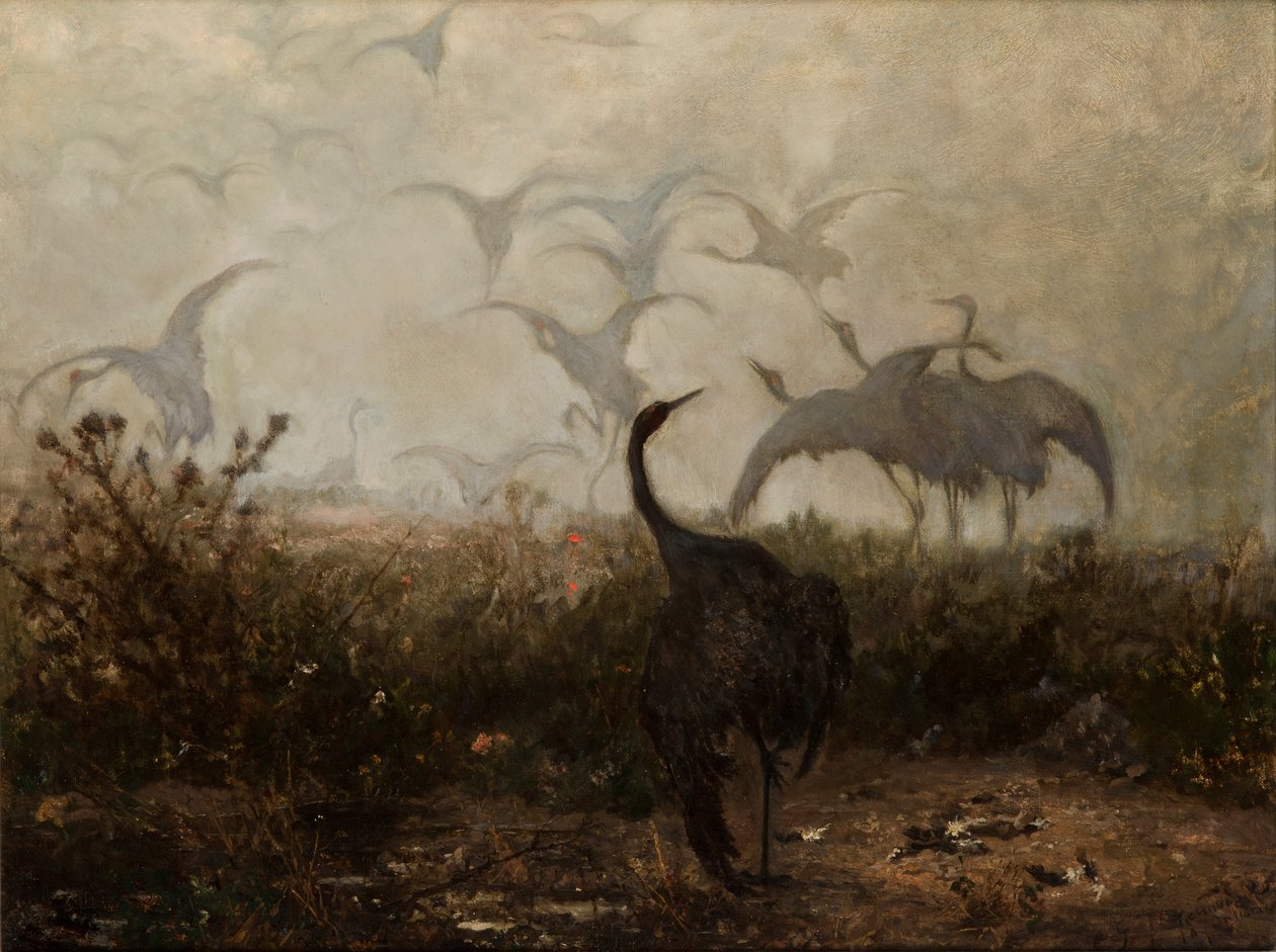 Żurawi autorstwa Joseph Chelmonski