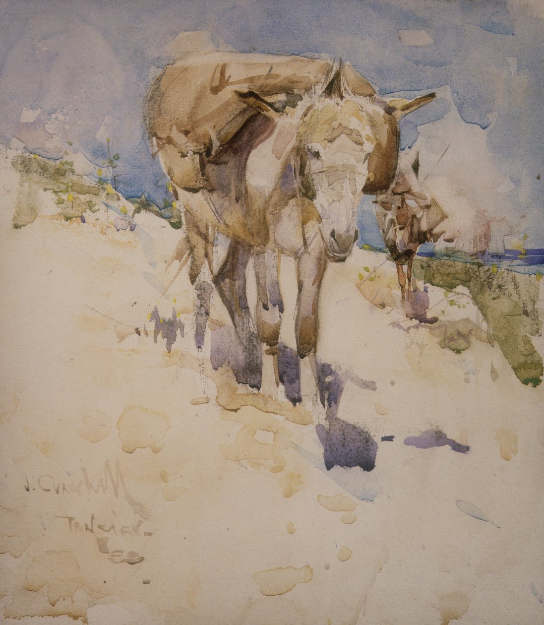 Tanger (wc na papierze) autorstwa Joseph Crawhall