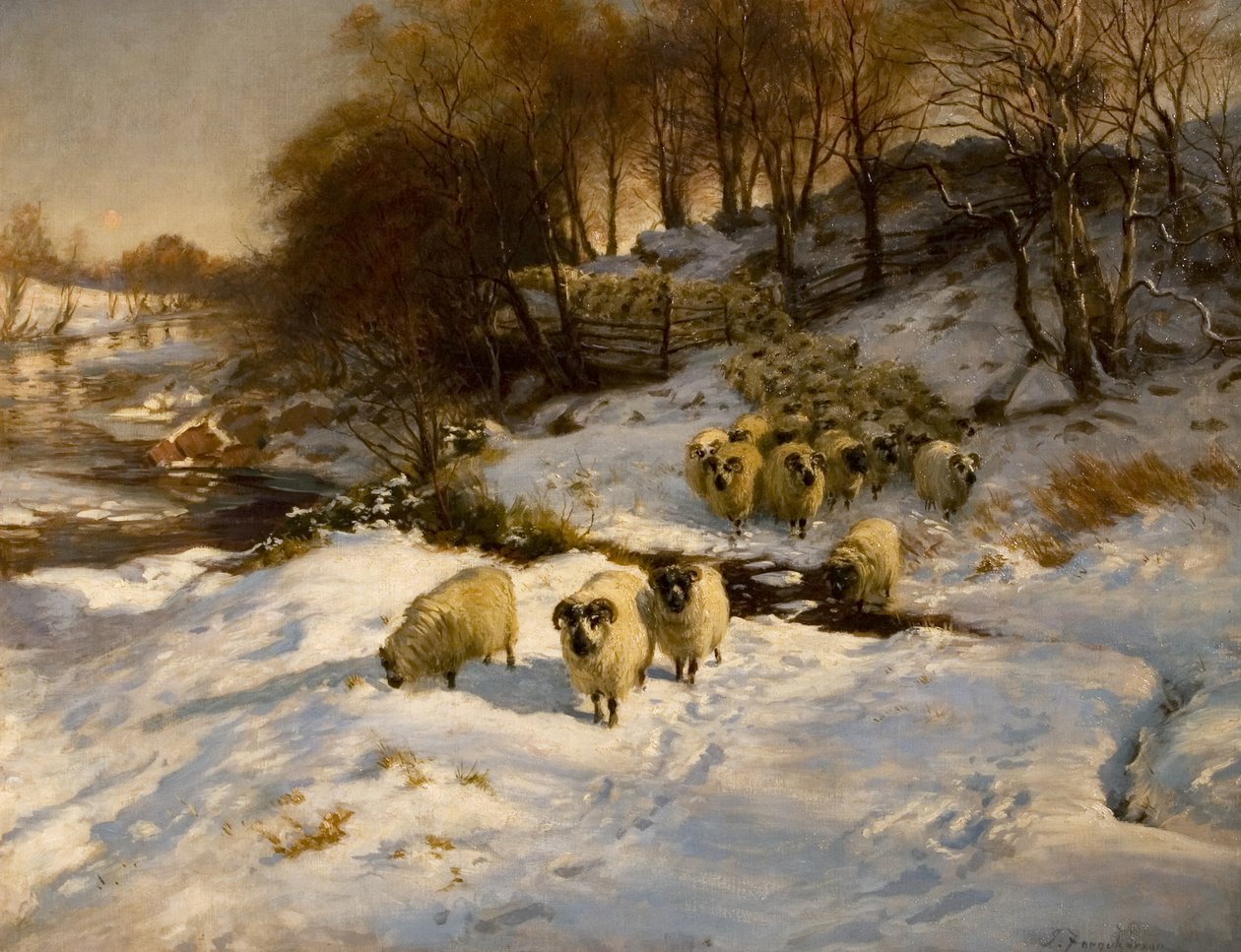 Owce na śniegu autorstwa Joseph Farquharson