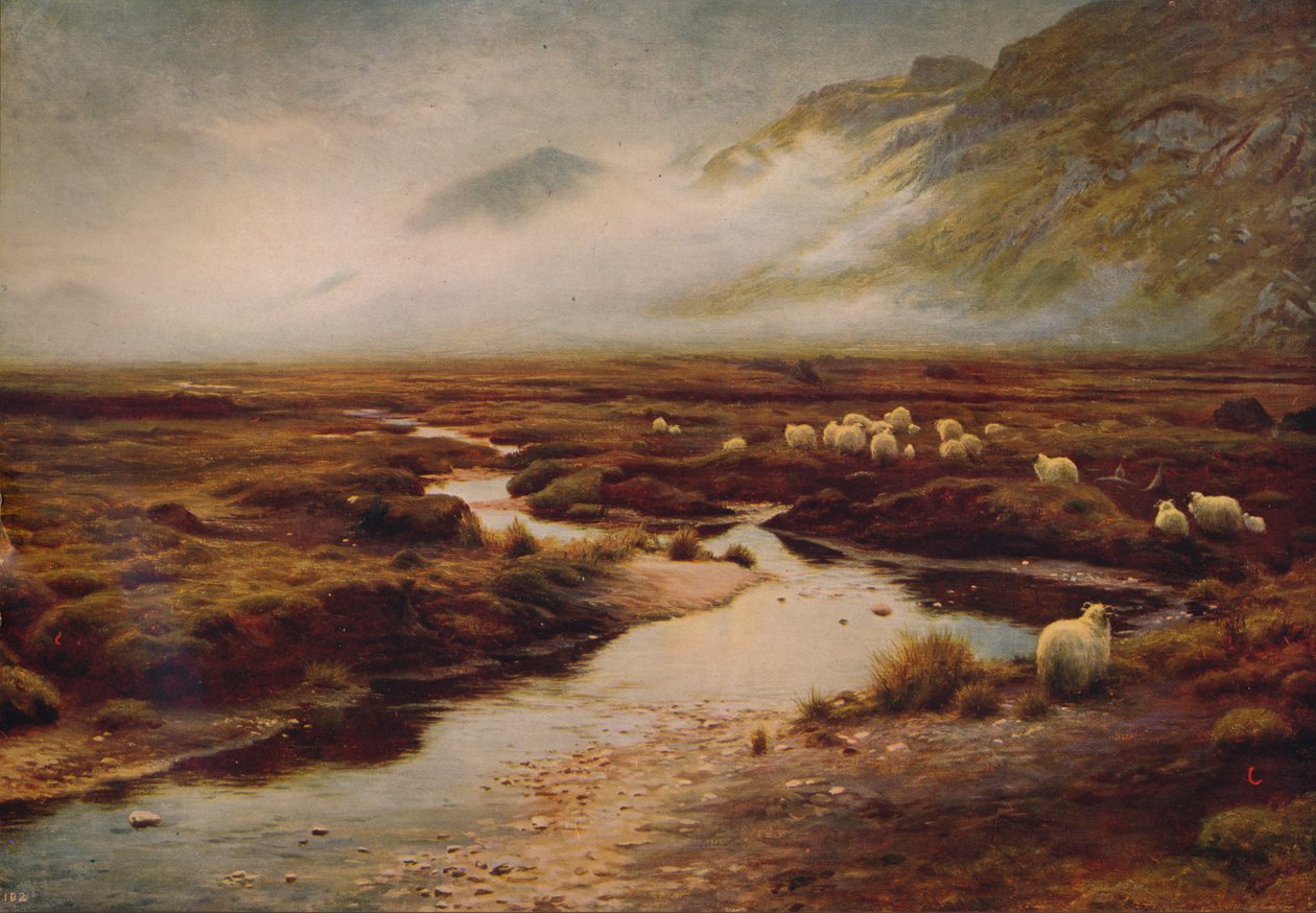 Mech w Poolewe, 1913, c1915 autorstwa Joseph Farquharson