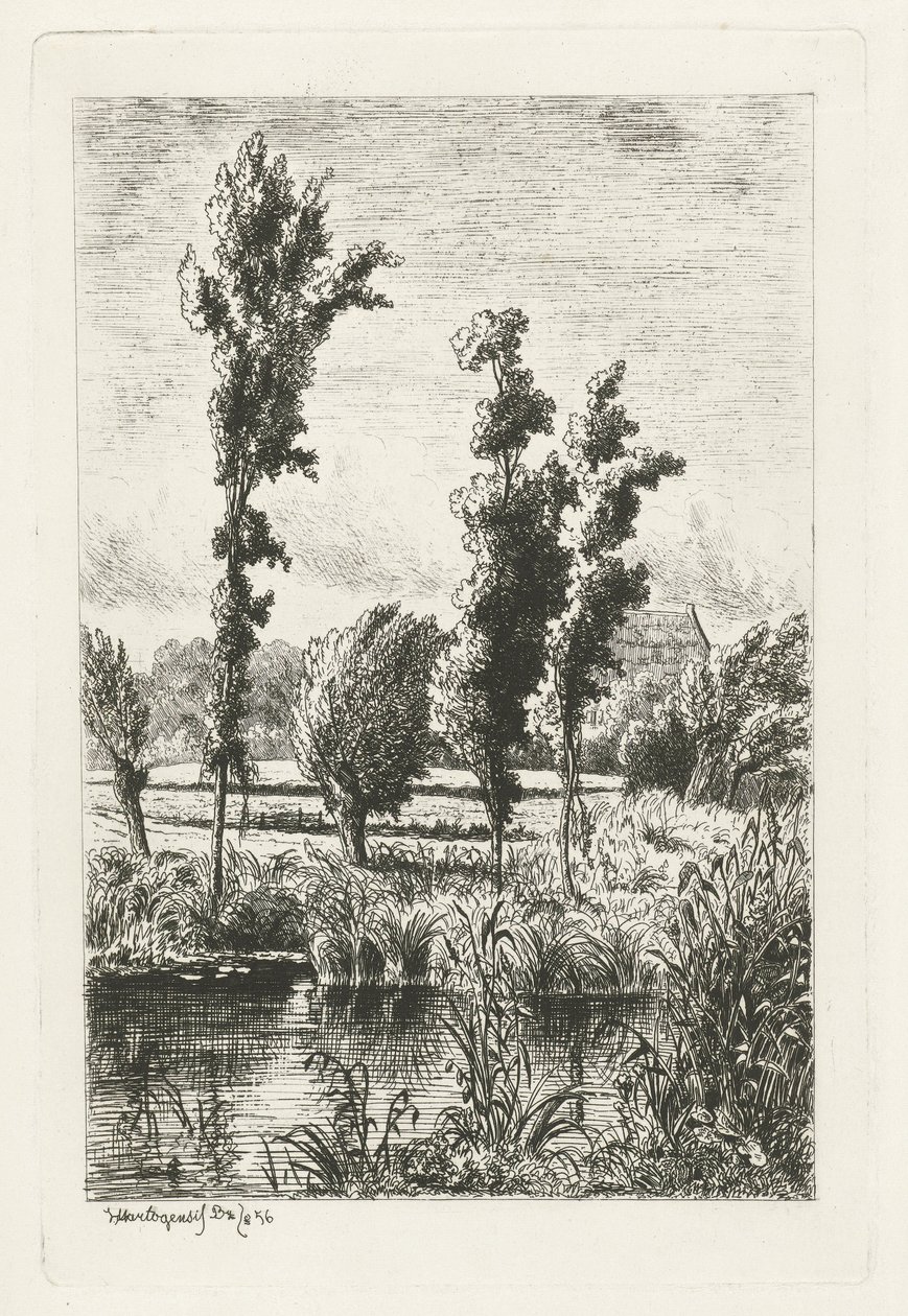 Drzewa przy rowie autorstwa Joseph Hartogensis