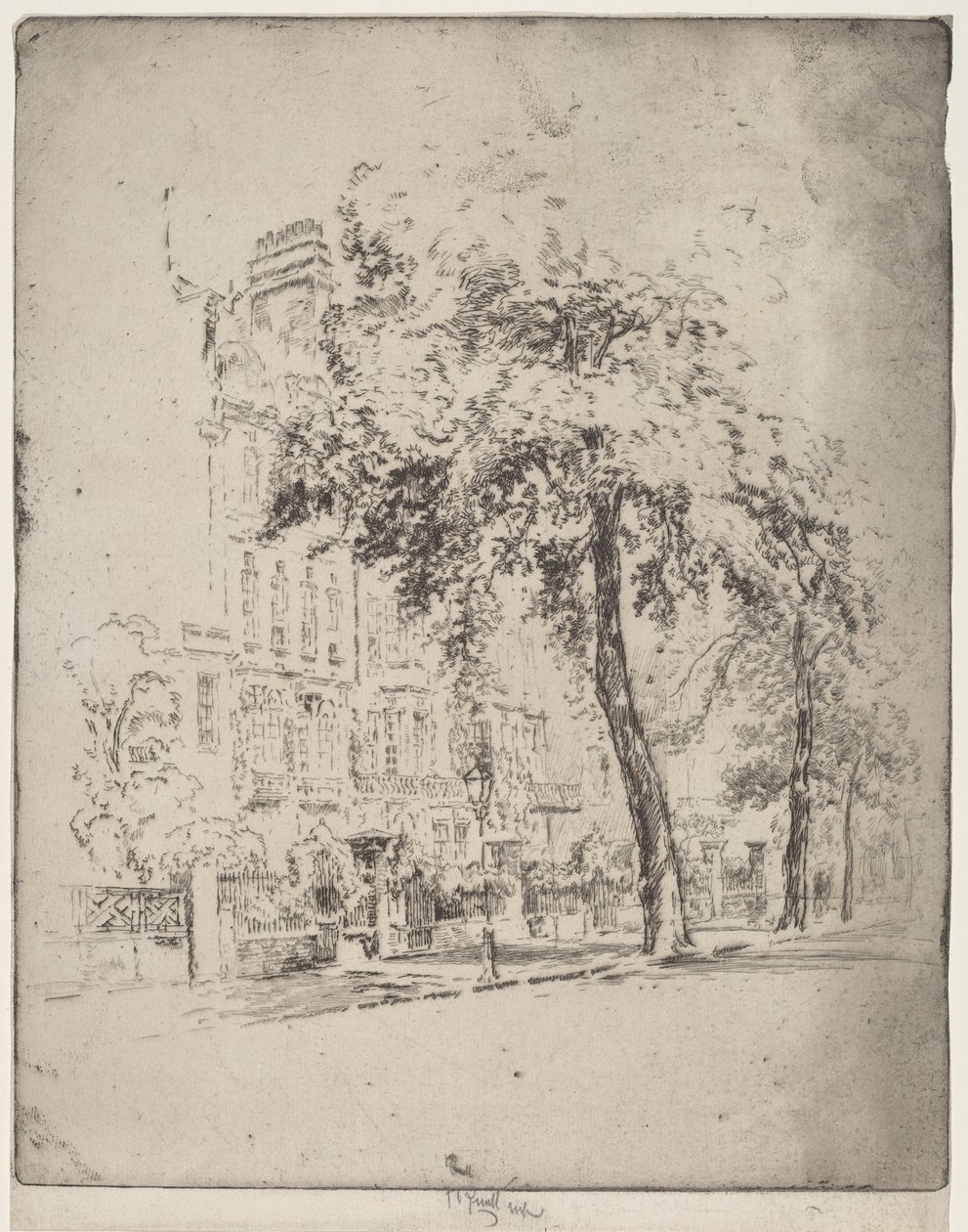 Wielkie Drzewo, Cheyne Walk autorstwa Joseph Pennell