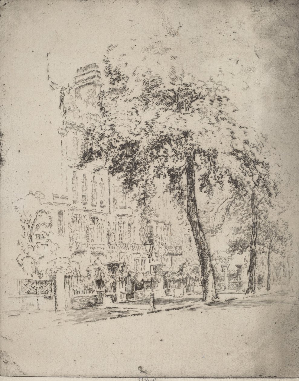 Wielkie Drzewo, Cheyne Walk, 1906. autorstwa Joseph Pennell