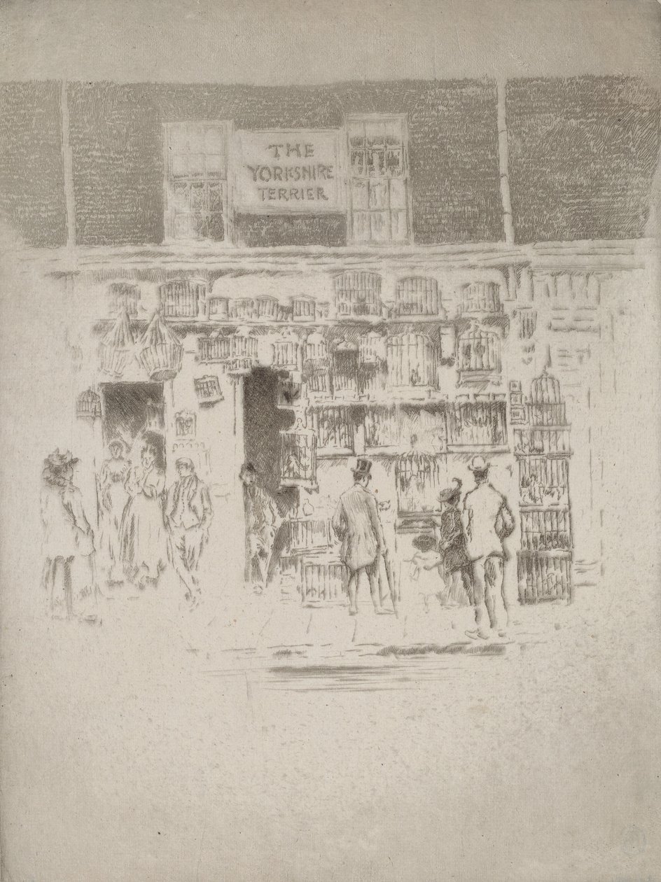 Yorkshire terier, 1903. autorstwa Joseph Pennell