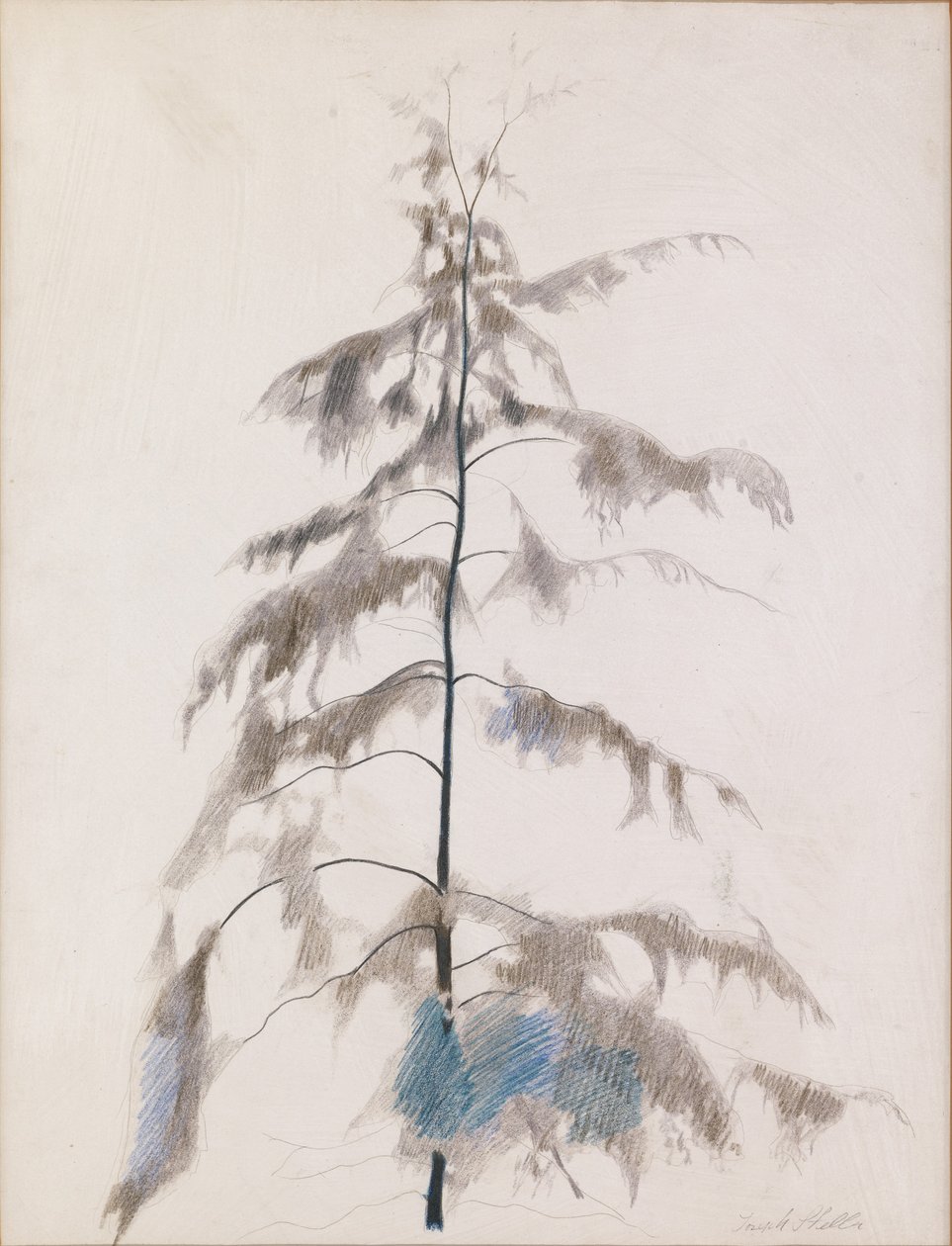 Sosna autorstwa Joseph Stella