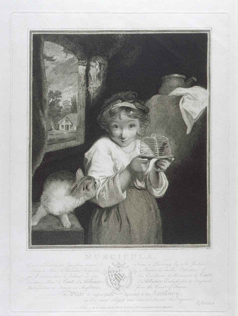 Muscipula, grawerowane przez Johna Jonesa (c.1745-97) 1786 autorstwa Joshua Reynolds
