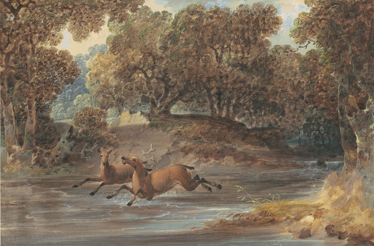 Pejzaż z jeleniem, Karolina Północna, ok. 1820 (wc i gwasz, grafit na papierze) autorstwa Joshua H. Shaw