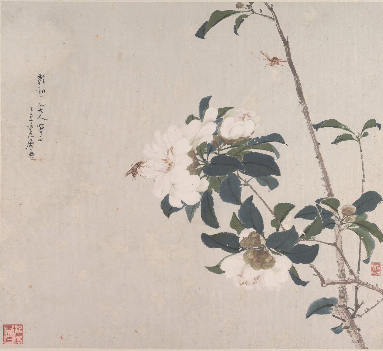 Owady i kwiaty. autorstwa Ju Lian