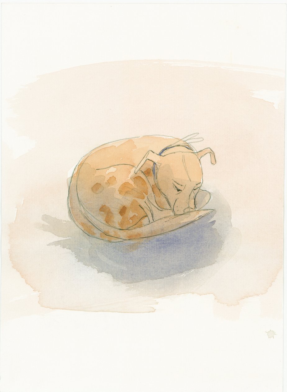 Śpiący pies, 2003. autorstwa Judith Dobie