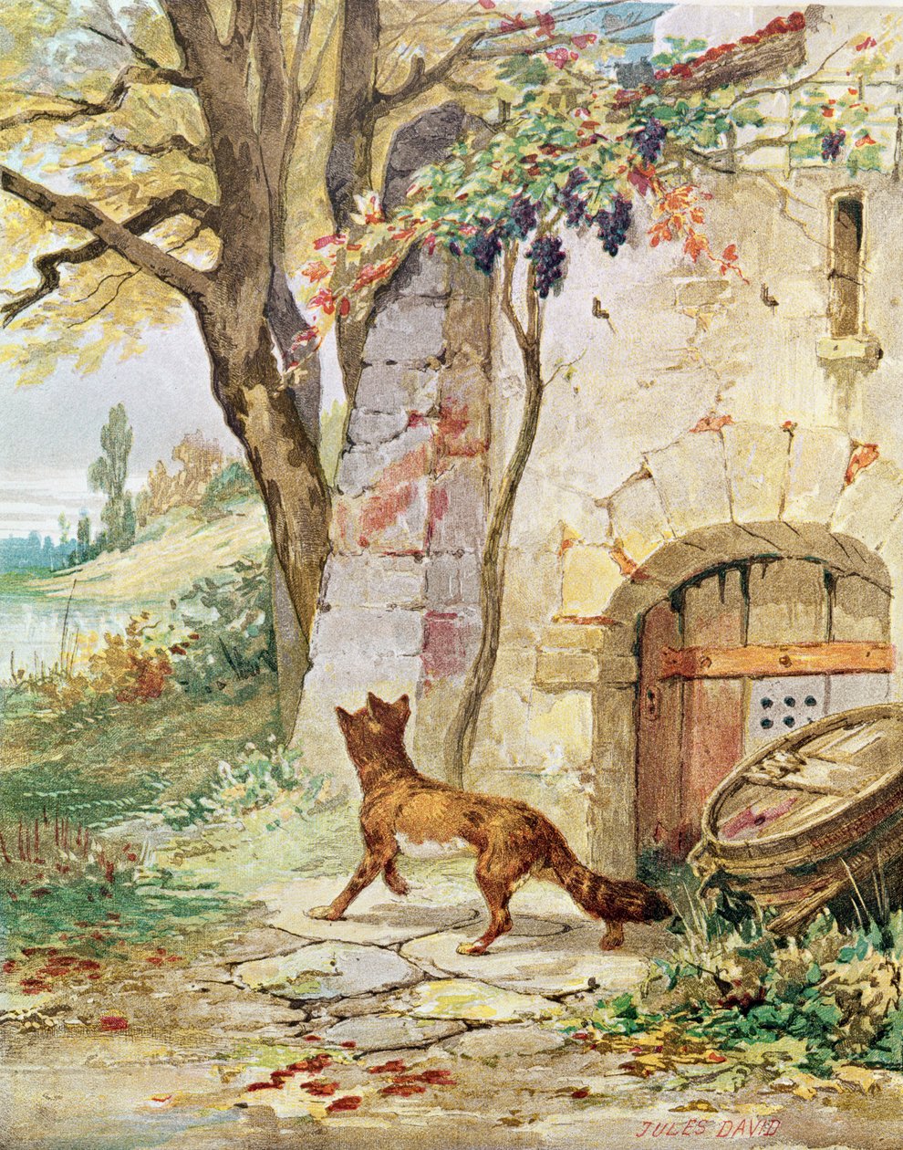 Lis i winogrona, ilustracja do „Bajek” Jean de La Fontaine (1621-95) autorstwa Jules David