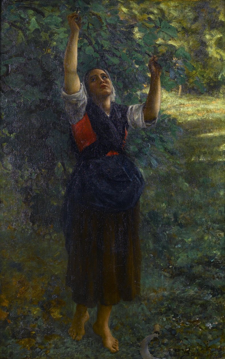 Francuski: Cueilleuse de figues autorstwa Jules Breton