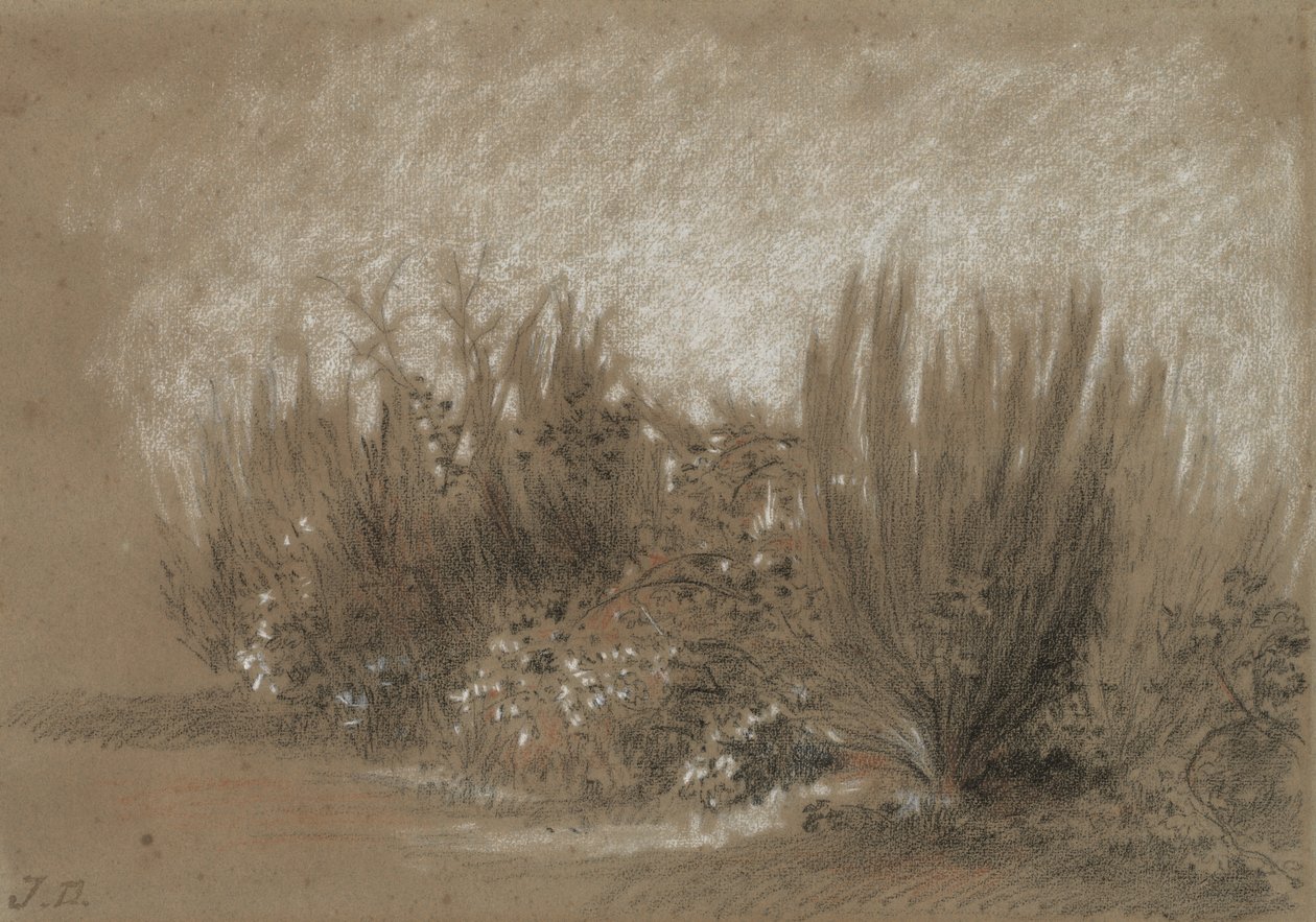 Genets et Ronces (miotła i jeżyny) autorstwa Jules Dupré