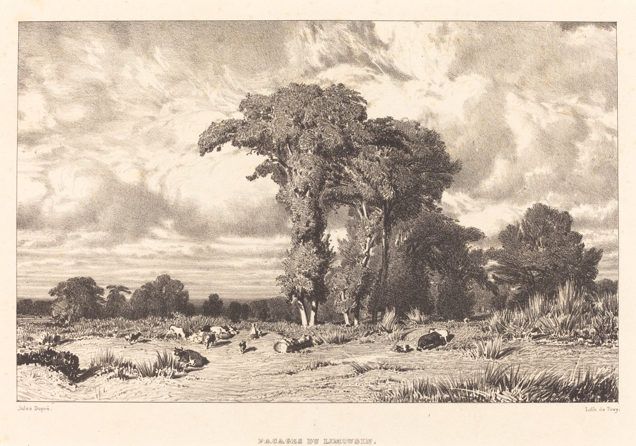 Pastwiska Limousin autorstwa Jules Dupré