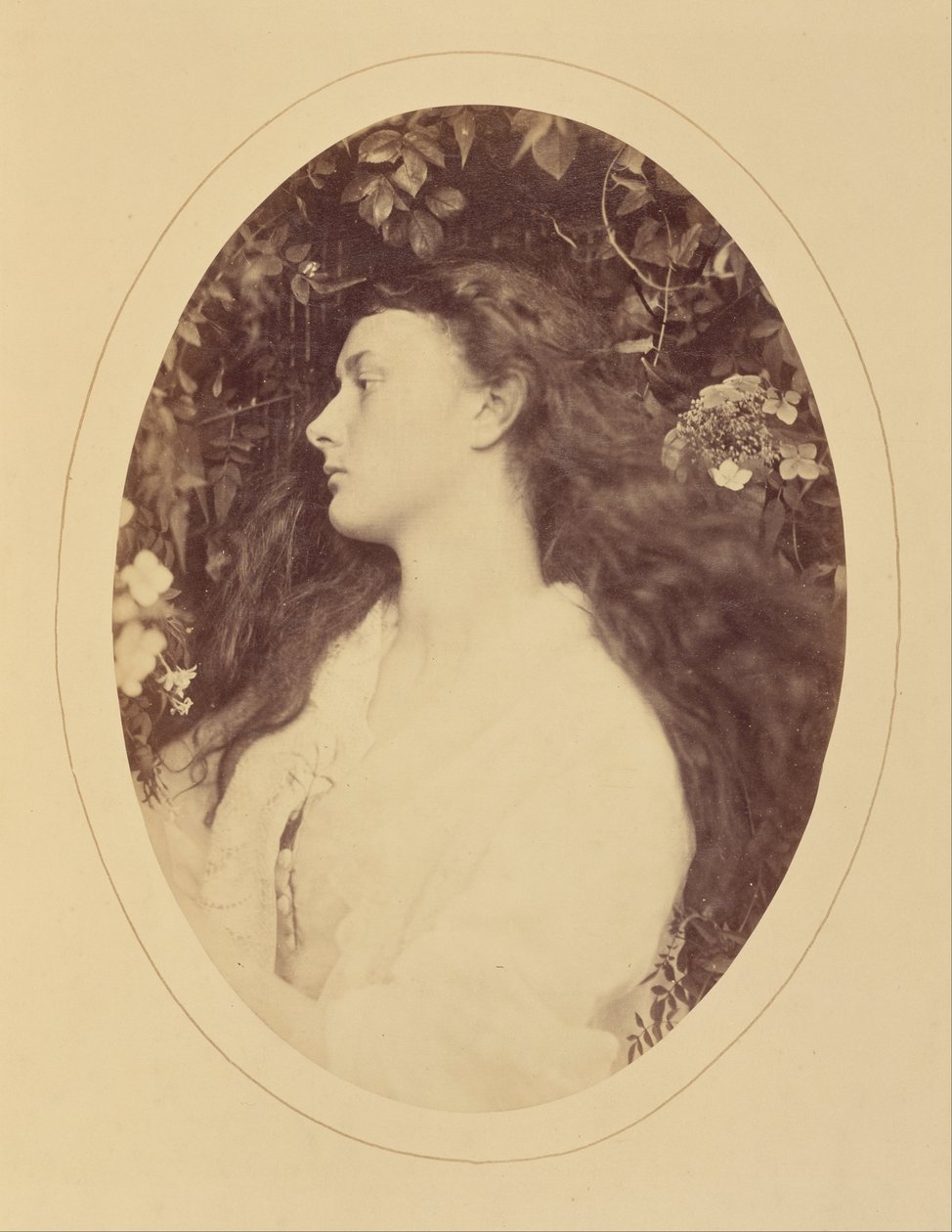 (Alethea) autorstwa Julia Margaret Cameron