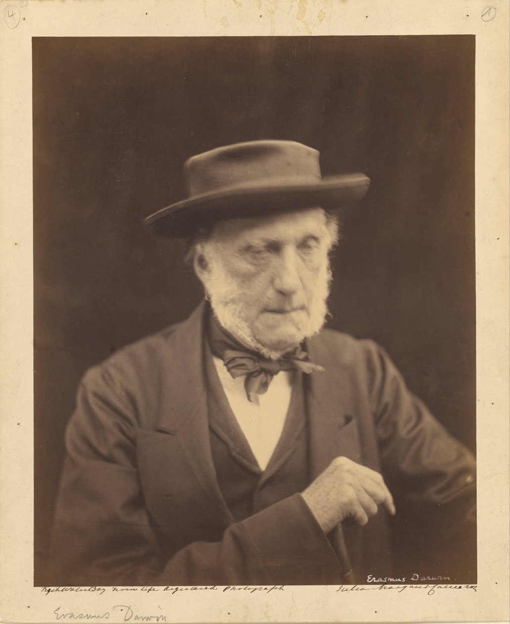 (Erasmus Darwin) autorstwa Julia Margaret Cameron