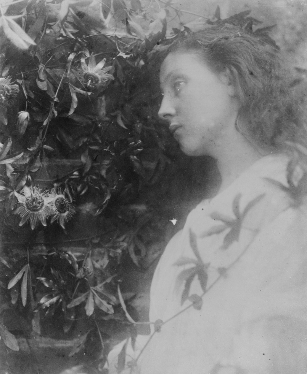 Ilustracja do wiersza "Maud" Alfreda, Lorda Tennysona, 1865 (odbitka albuminowa) autorstwa Julia Margaret Cameron