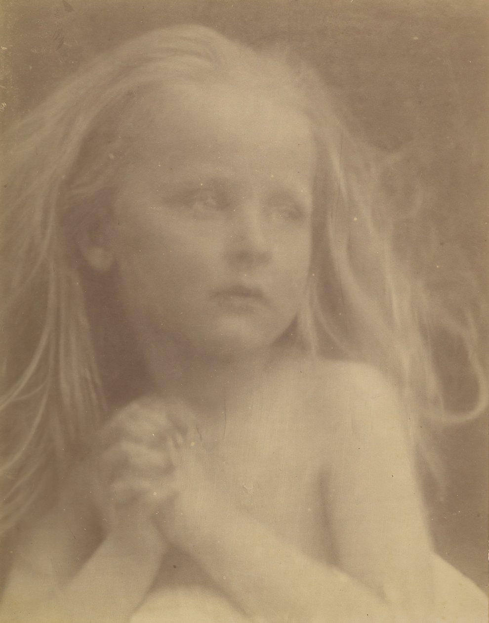 Piękny szkic, 1873. autorstwa Julia Margaret Cameron