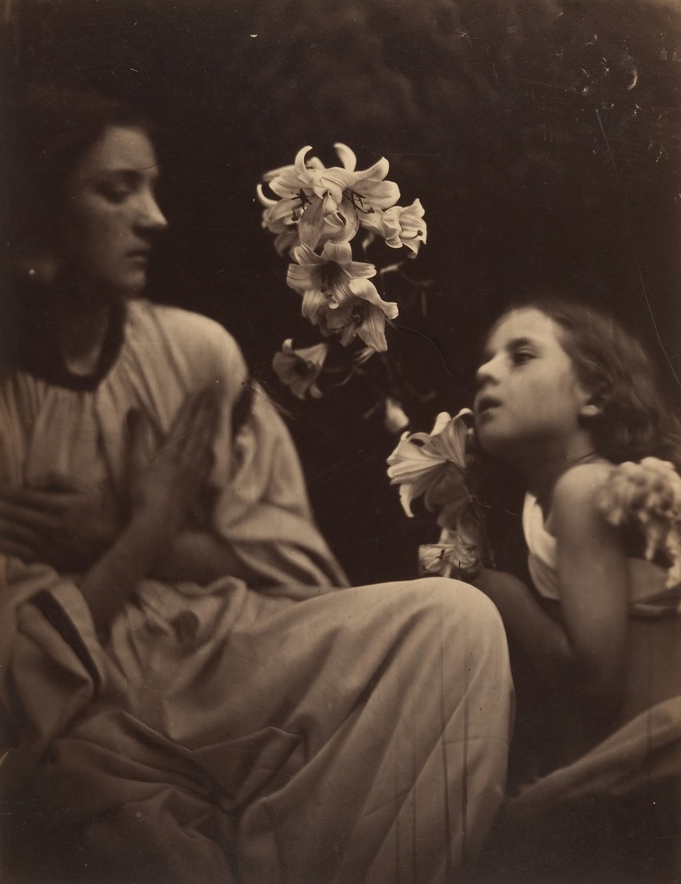 Studium, 1865-66. autorstwa Julia Margaret Cameron